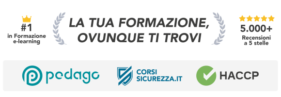 Pedago e-Learning
